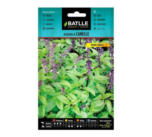 Semillas de Albahaca Cannelle  Batlle