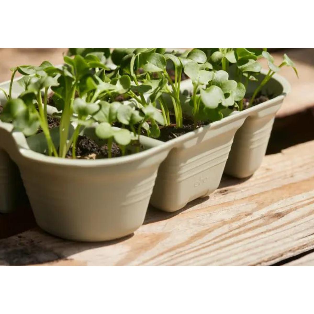 Semillero Green Basics Elho