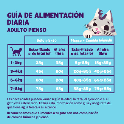 Pienso para gatos Salmón Fresco Edgard & Cooper 4 Kg