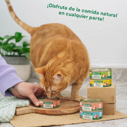 Pack Guiso del pescador salmón y cerdo para gatos 6 x 80 g Wild Balance