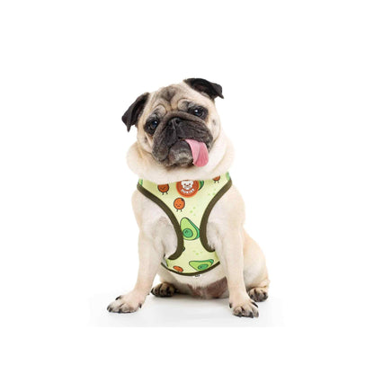 Arnés reversible para perro AVOCADO Dukier S