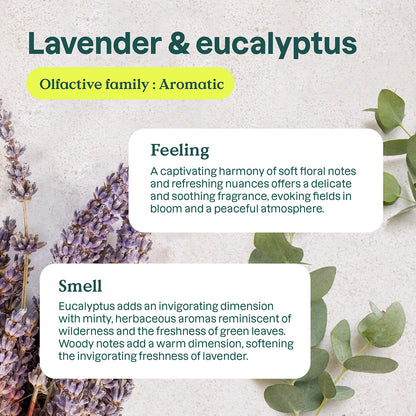Purificador natural Eucalipto y Lavanda Attitude 227 g
