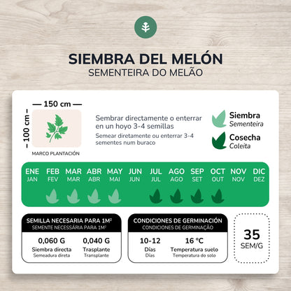 Semillas de Melón piel de sapo ecológicas Planeta Huerto