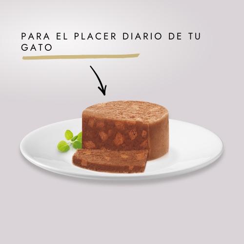 GOURMET GOLD Tarrina Comp Salmon Comida húmeda 85 g