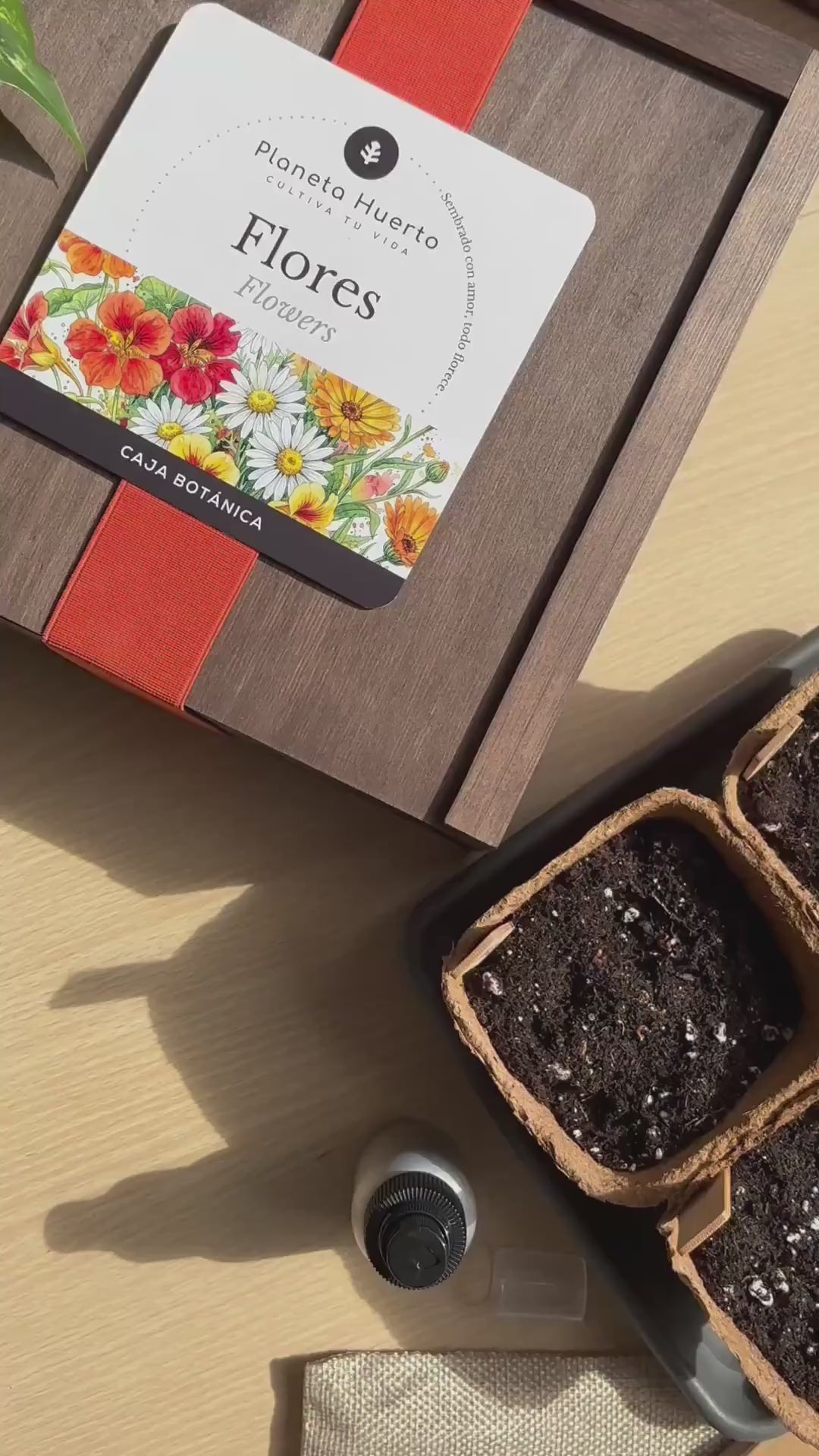 Kit de Cultivo de Aromáticas en Caja de Madera – Regalo Original Planeta Huerto