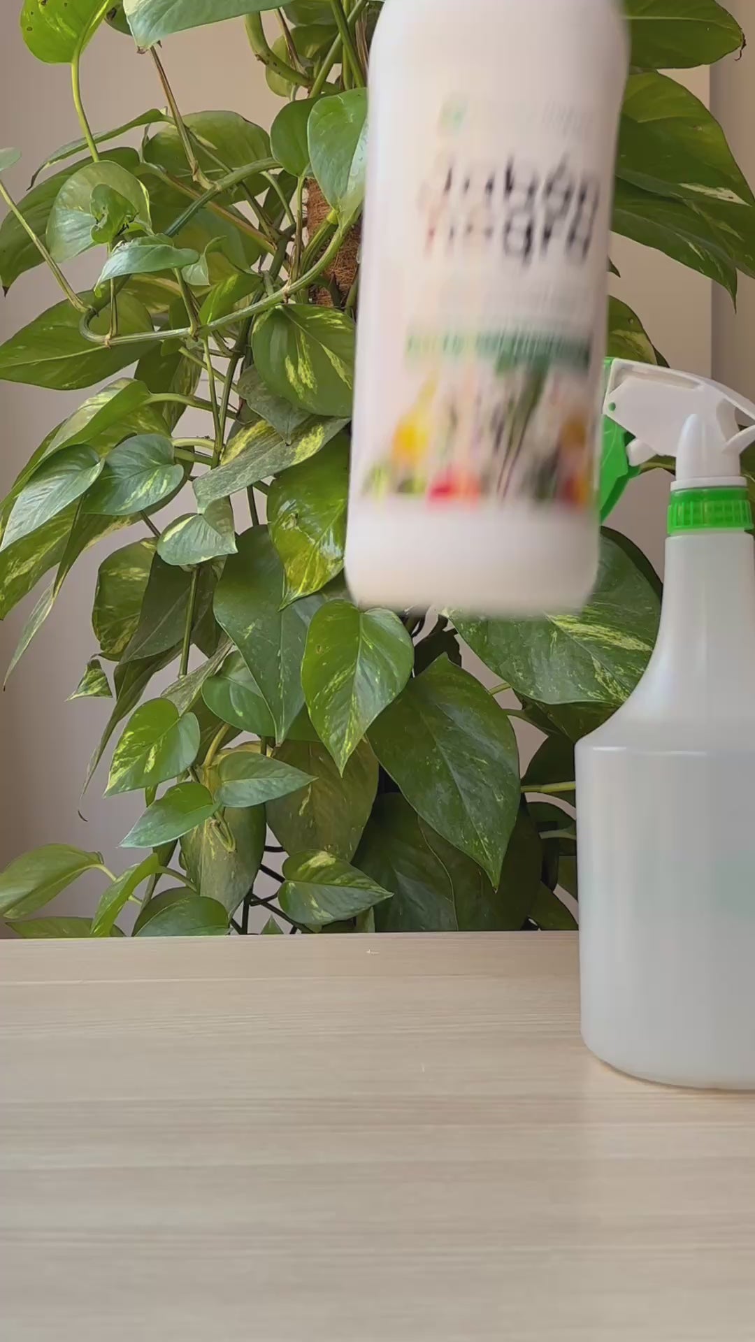 Sapone potassico Nero Planeta Huerto 5 L