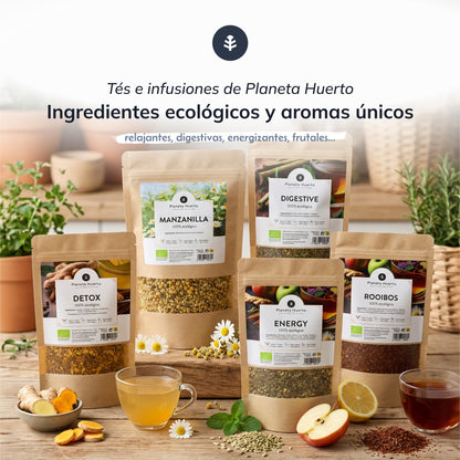 Infusione di energia ECO Planet Garden 20 piramidi