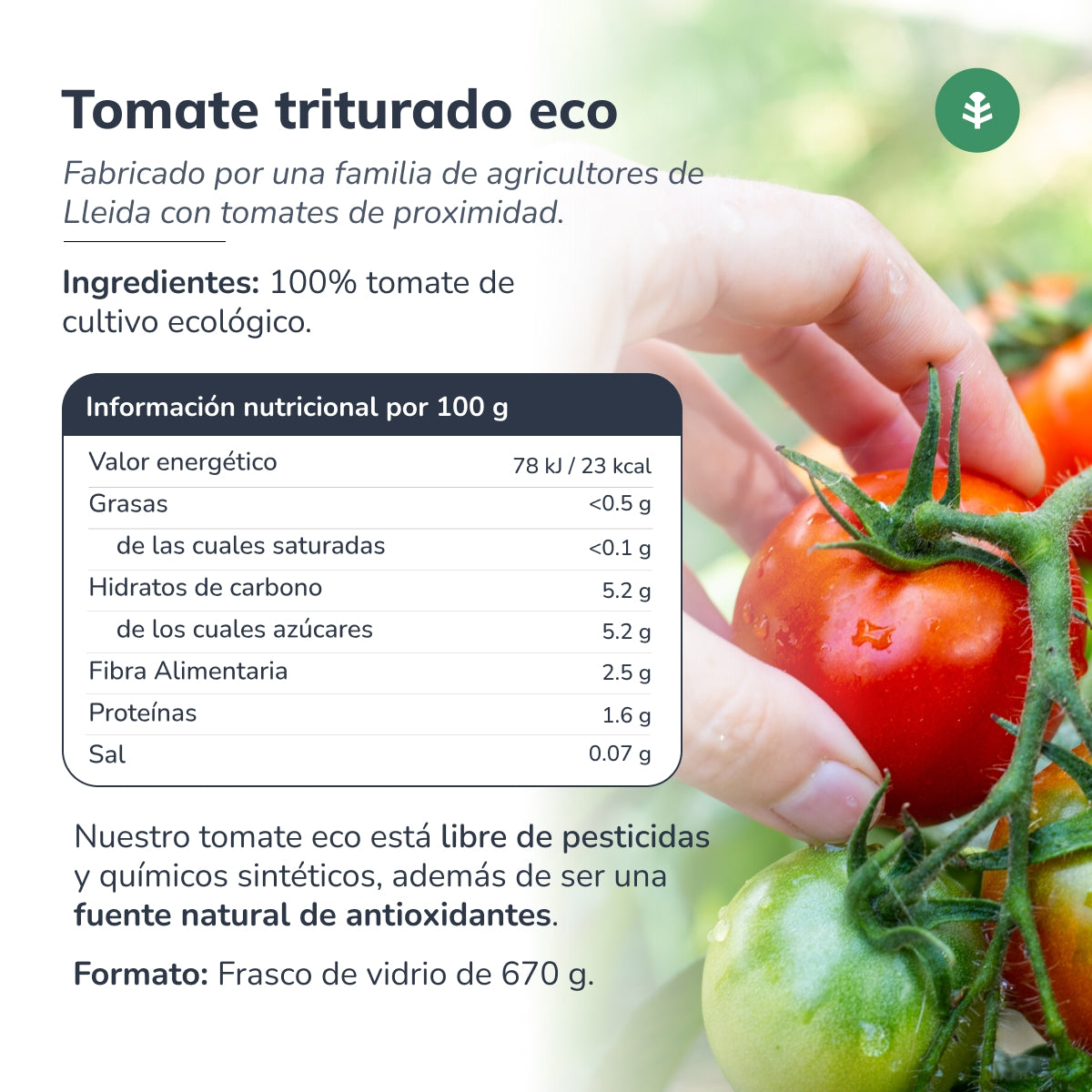 Pomodoro schiacciato ECO Planeta Huerto 670 g